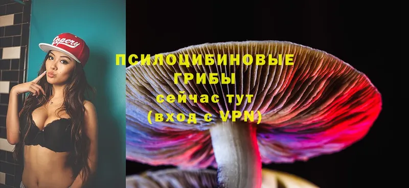 Галлюциногенные грибы Cubensis  как найти закладки  Иланский 